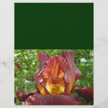 Custom Designer green Flyers paper Iris Flowers