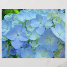 Custom Floral Flyers Blue Hydrangeas Holidays