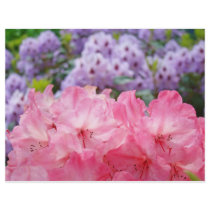 Custom Flyers create Pink Rhodies Floral Flowers
