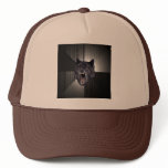 Custom Insanity Wolf Hat