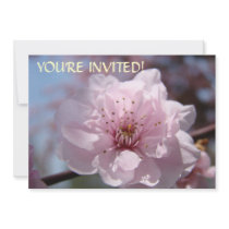 Custom Invitations You're Invited! Pink Blossoms