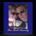 Custom made for Brittany Ball binders