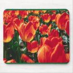 CUSTOM MOUSE PADS