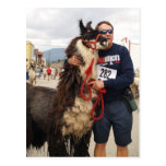Custom Pack Llama Postcard