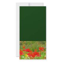 Custom Photo cards Add Your Text Poppy Flowers
