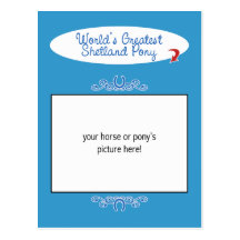 Custom Photo! Worlds Greatest Shetland Pony Postcards