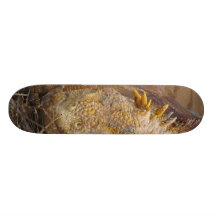 Custom Skateboard Giant Iguana