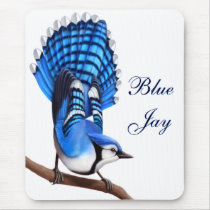 Customizable Alert Blue Jay Bird Mousepad
