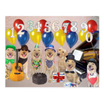 Customizable Birthday Invitation Post Cards
