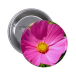 Customizable Cosmo Pin