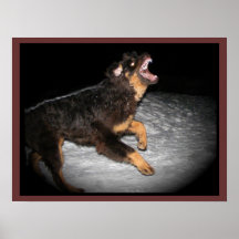 Customizable dog Sign 2 Poster