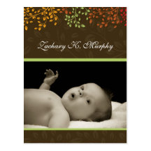 Customizable Fall  Birth Announcement Template Postcards