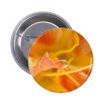 Customizable Flower Photo 7 Pins