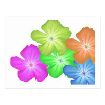 Customizable Flower Power Postcards