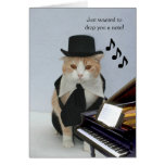 Customizable Funny Cat Greeting Cards