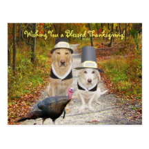 Customizable Funny Dogs/Labs Thanksgiving Postcard