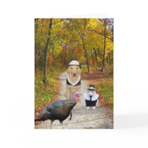 Customizable Funny Thanksgiving