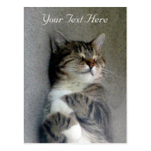 Customizable Happy Cat Post Card