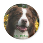 Customizable Magnet