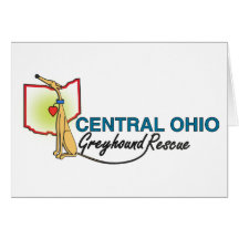 Customizable Note Cards