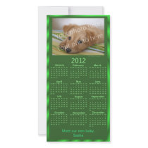 Customizable Photo Card 2012 Calendar (Green)
