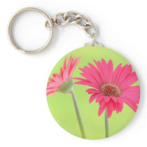 Customizable Pink Gerber Daisies on Green