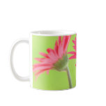 Customizable Pink Gerber Daisies on Green Mug