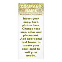 Customizable Rack Cards - Olive Medley