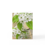 Customizable Thank You Greeting Card