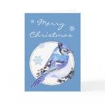 Customize Christmas Blue Jay, Watercolor Bird Card