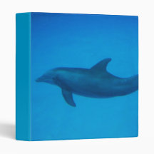 Customize Product Binder