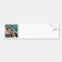 Customize Product Bumper Sticker