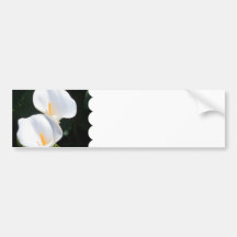 Customize Product Bumper Sticker