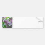 Customize Product Bumper Sticker