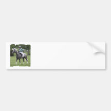 Customize Product Bumper Sticker
