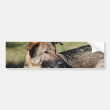 Customize Product Bumper Stickers