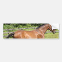 Customize Product Bumper Stickers
