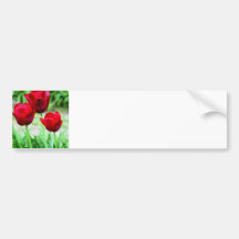 Customize Product Bumper Stickers