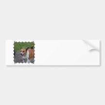 Customize Product Bumper Stickers