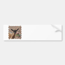 Customize Product Bumper Stickers