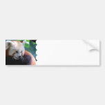 Customize Product Bumper Stickers