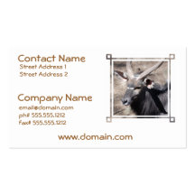 Customize Product Business Card
