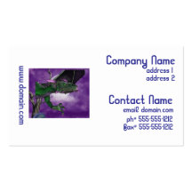 Customize Product Business Card