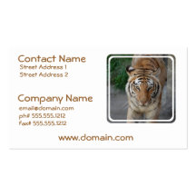 Customize Product Business Card