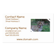 Customize Product Business Card Template