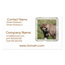 Customize Product Business Card Templates
