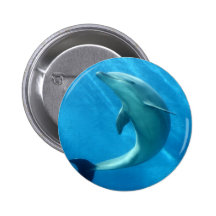Customize Product Button