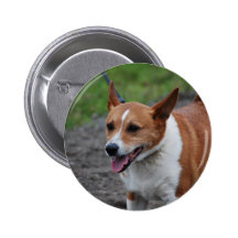 Customize Product Buttons