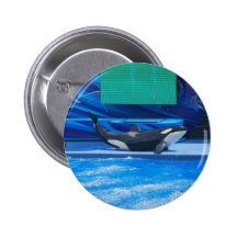 Customize Product Buttons