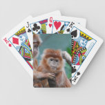 Customize Product Card Decks